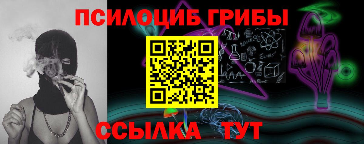 Псилоцибиновые грибы прущие грибы Красный Сулин